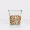 Activated Sunflower Seeds - Organic